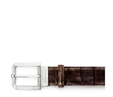 FIESOLE BUCKLE BELT IN COFFEE BROWN ALLIGATOR