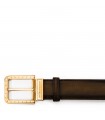 FIBBIA RIPA