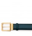 FIBBIA RIPA